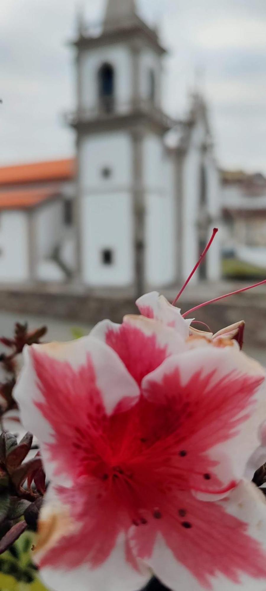 Donna Nega Alojamento Local Caminha Exteriér fotografie